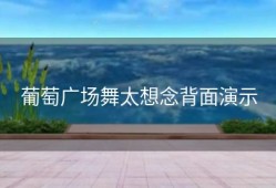 葡萄广场舞太想念背面演示