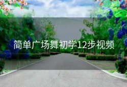 简单广场舞初学12步视频