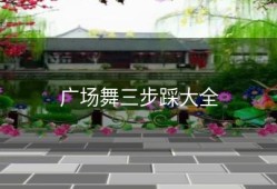 广场舞三步踩大全
