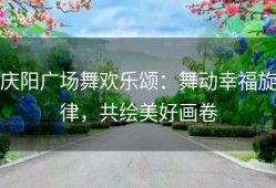 庆阳广场舞欢乐颂：舞动幸福旋律，共绘美好画卷