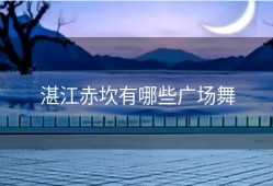 湛江赤坎有哪些广场舞