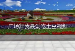 广场舞我最爱吃土豆视频