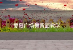 爱慕广场舞背面教学