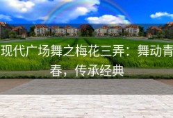 现代广场舞之梅花三弄：舞动青春，传承经典