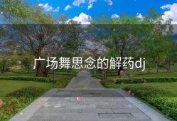 广场舞思念的解药dj