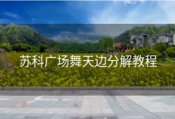 苏科广场舞天边分解教程