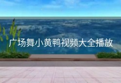 广场舞小黄鸭视频大全播放