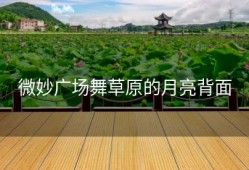 微妙广场舞草原的月亮背面