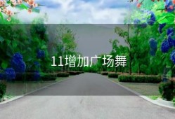 11增加广场舞