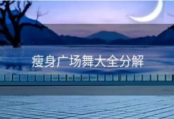 瘦身广场舞大全分解