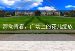 舞动青春，广场上的花儿绽放