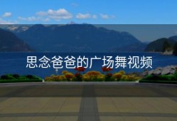 思念爸爸的广场舞视频