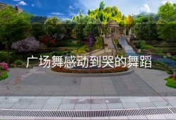 广场舞感动到哭的舞蹈