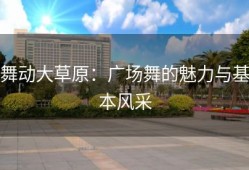 舞动大草原：广场舞的魅力与基本风采
