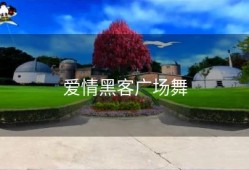 爱情黑客广场舞