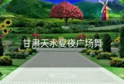 甘肃天水夏夜广场舞