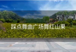 踩点舞曲广场舞红山果