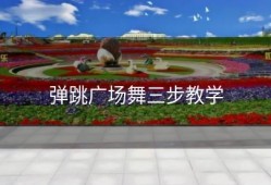 弹跳广场舞三步教学