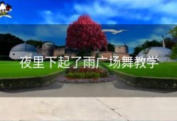 夜里下起了雨广场舞教学