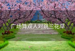 广场舞双人对跳兰花草