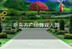 新东方广场舞双人舞