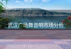 武汉广场舞音响市场分析