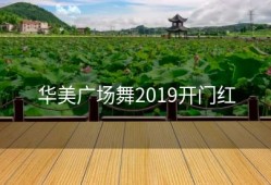 华美广场舞2019开门红