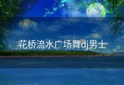 花桥流水广场舞dj男士