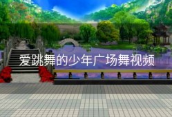 爱跳舞的少年广场舞视频