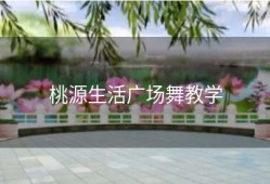 桃源生活广场舞教学