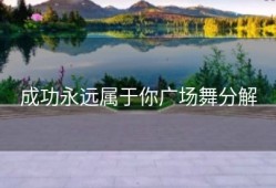 成功永远属于你广场舞分解