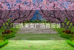 回族美女广场舞服装