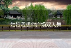 姑娘我想你广场双人舞