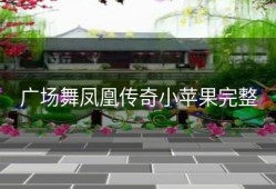 广场舞凤凰传奇小苹果完整