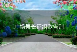 广场舞长征组歌告别