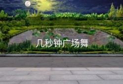 几秒钟广场舞