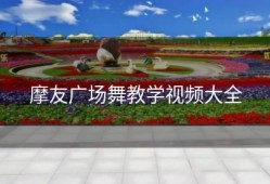 摩友广场舞教学视频大全