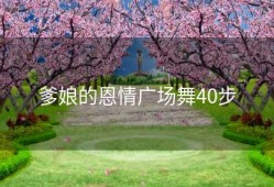 爹娘的恩情广场舞40步