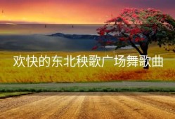欢快的东北秧歌广场舞歌曲
