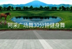阿采广场舞30分钟健身舞