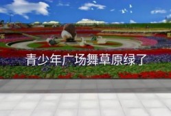 青少年广场舞草原绿了