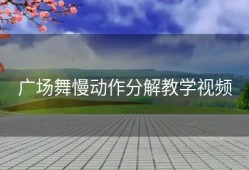 广场舞慢动作分解教学视频