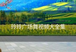 玲玲广场舞视频大全集