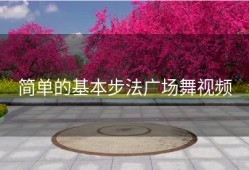 简单的基本步法广场舞视频