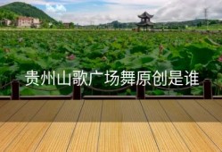 贵州山歌广场舞原创是谁