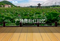 广场舞粉红回忆