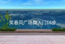 笑春风广场舞入门16步