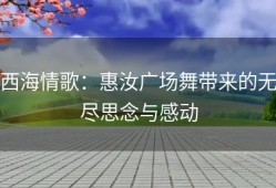 西海情歌：惠汝广场舞带来的无尽思念与感动