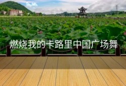 燃烧我的卡路里中国广场舞