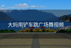 大妈用铲车跳广场舞视频
